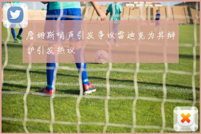 詹姆斯哨声引发争议雷迪克为其辩护引发热议